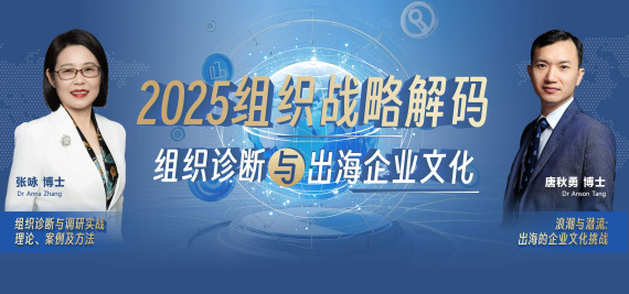 2025组织战略密码：组织诊断与出海企业文化