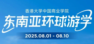 东南亚之旅：穿越千年商道，探索雨林与星辰的启示 - 图像